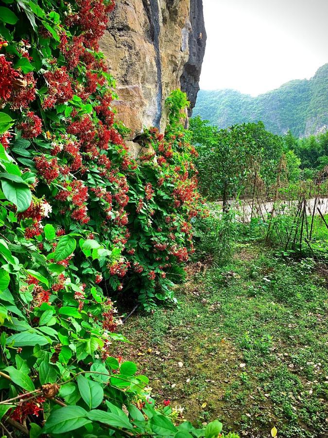 Trang An Valley Bungalow Ninh Binh Buitenkant foto